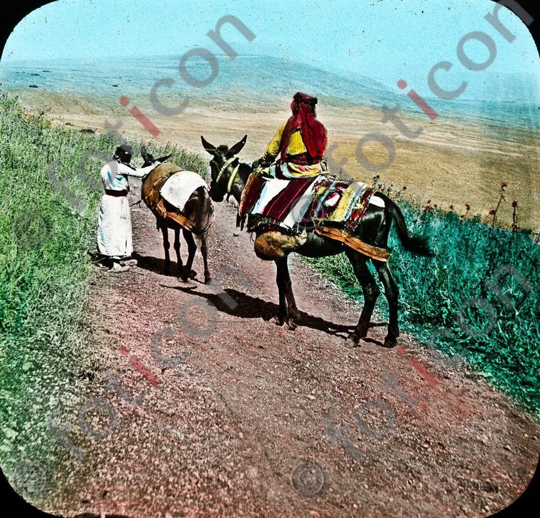 Hirten in Palästina | Shepherds in Palestine (foticon-simon-054-065.jpg)